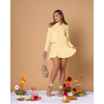 Mini Falda Amarilla.